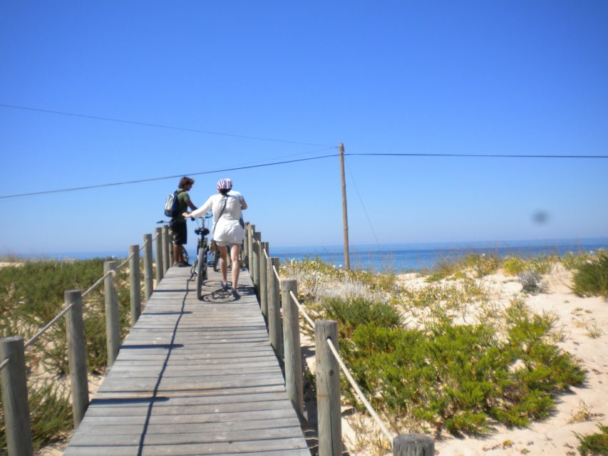 Faro Bike Tour through the Beautiful Ria Formosa - Who This Faro Bike Tour Is Best For