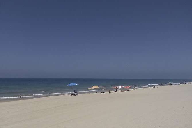 Faro City and Beach Tour on Electric Tuk tuks - Meeting Point at Praça Dom Francisco Gomes and the Garden Start