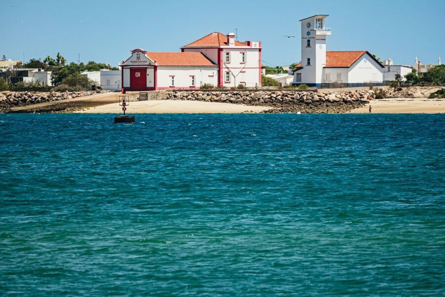 Faro: Deserta Island and Farol Island Catamaran Boat Trip - Birdwatching in the Ria Formosa Natural Park: what to watch for