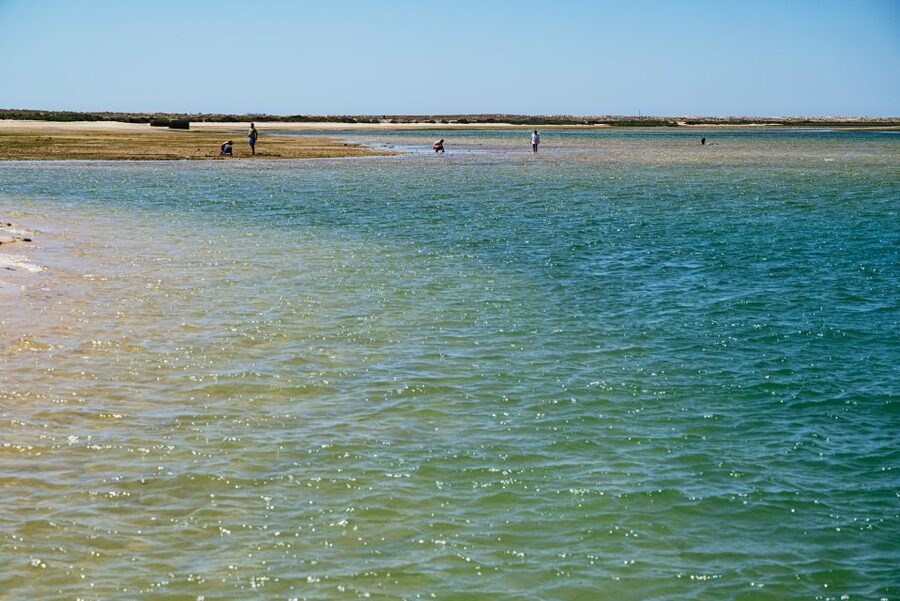 Faro: Deserta Island and Farol Island Catamaran Boat Trip - How the 3 hours feel: pacing, weather, and tides