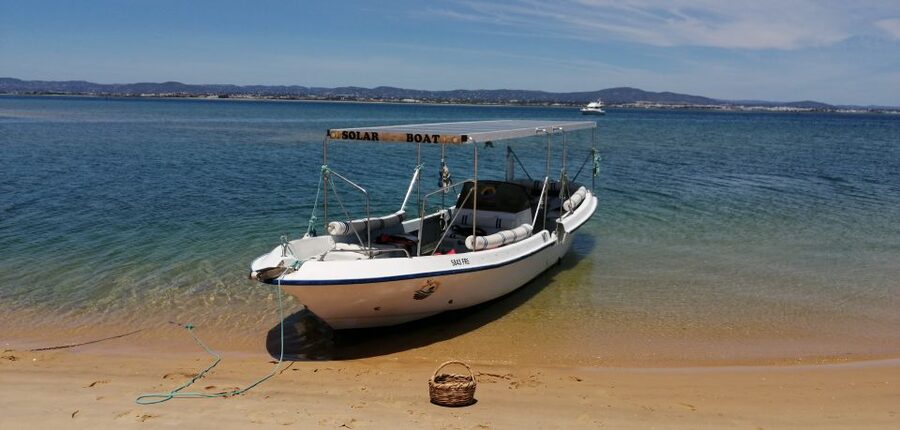 Faro: Eco-Friendly Ria Formosa Bird Watching in Solar Boat - What you might see: species highlights and hunting moments