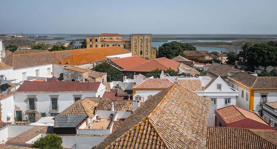 Faro: Flexible Walking Tour in Historic Center - Marina views from the Eva Hotel rooftop and the calm at Manuel Bívar Garden