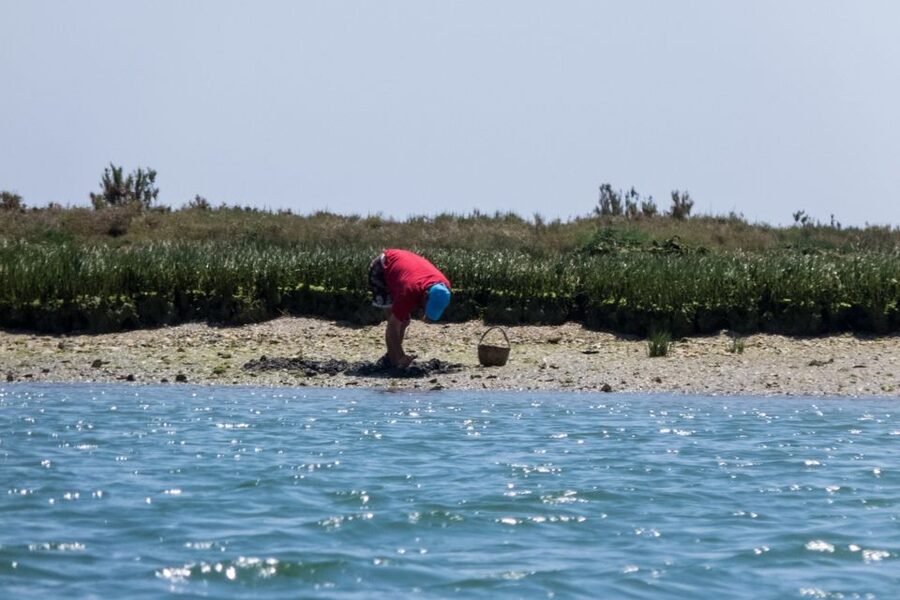 Faro: Kayak Hire in Ria Formosa Natural Park - Entering The Marina Scene: Where Your Kayak Adventure Starts