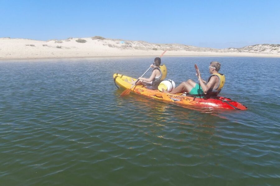 Faro: Kayak Hire in Ria Formosa Natural Park - Wildlife and Scenery: More Than Just Pretty Water