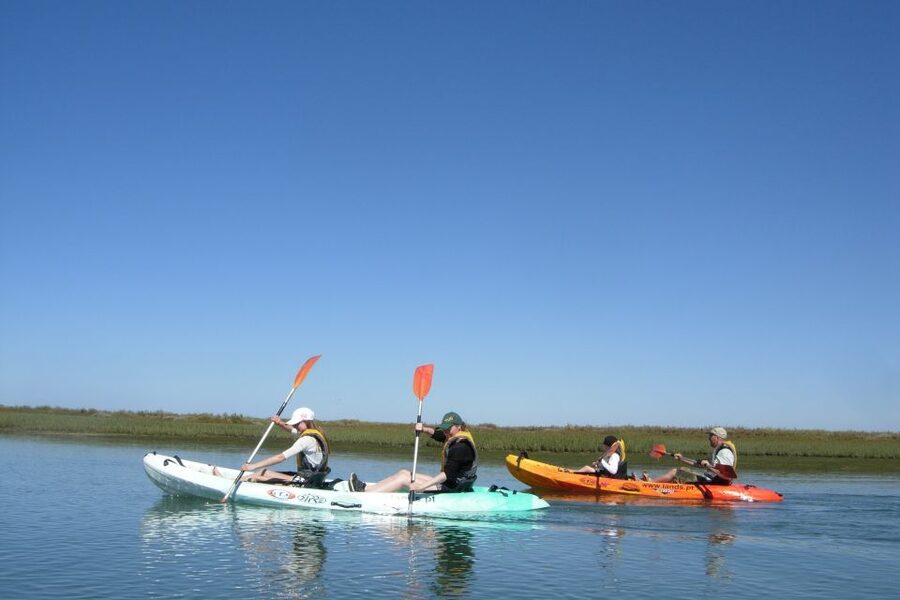 Faro: Kayak Hire in Ria Formosa Natural Park - Wind, Effort, and Route Choice: How to Make the Paddle Feel Right