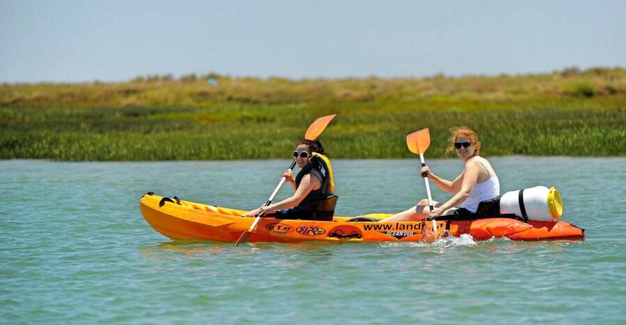Faro: Kayak Hire in Ria Formosa Natural Park - Price and Value: Is $40 per Person a Good Deal?