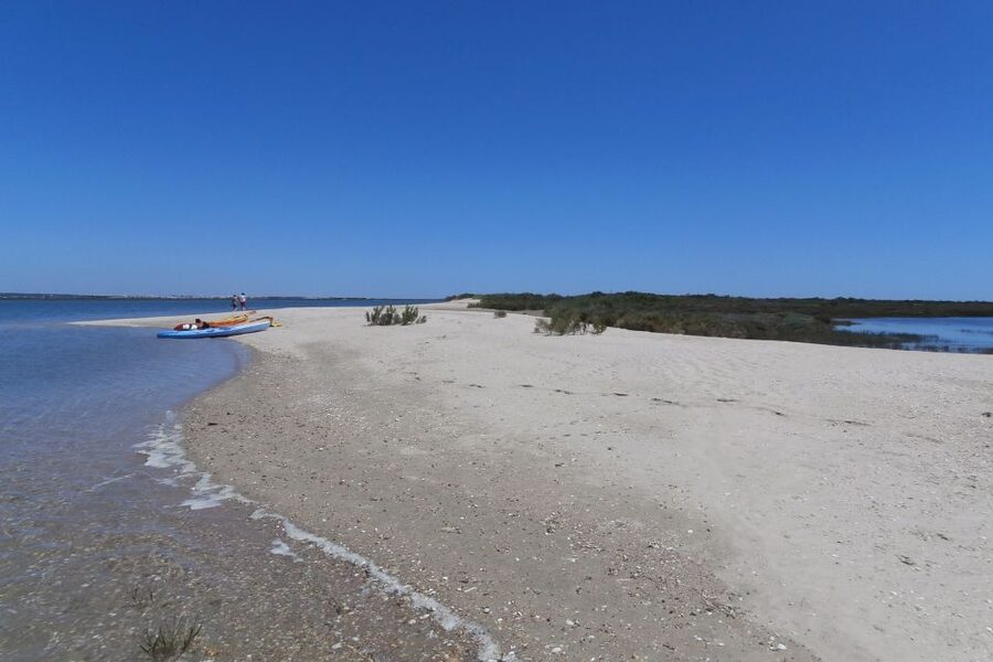 Faro: Kayak Hire in Ria Formosa Natural Park - Practical Packing: What to Bring for a Comfortable Paddle