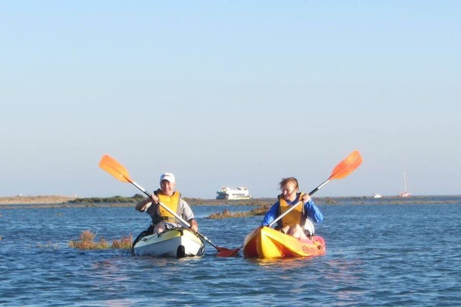 Faro: Kayak Hire in Ria Formosa Natural Park - Who Should Book This, and Who Should Skip It