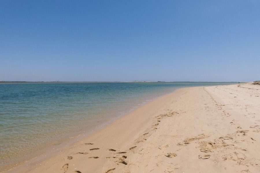 Faro: Kayak Hire in Ria Formosa Natural Park - The Water and the Route: What You’ll Actually Do for 2.5 to 4 Hours