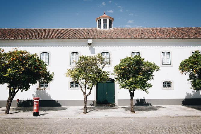Faro Private Walking Tour: Uncovering its Architectural Legacy - Cidade Velha square and cobblestones for story time