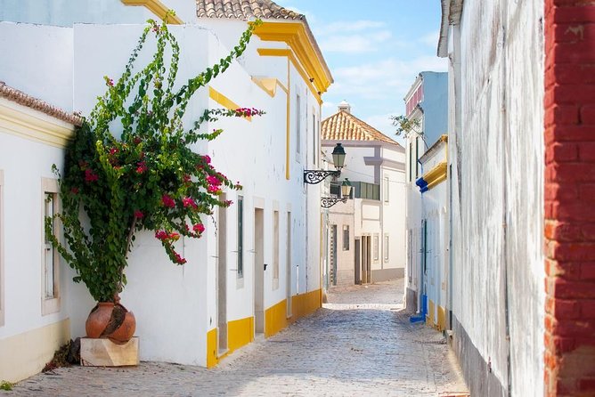 Faro Private Walking Tour: Uncovering its Architectural Legacy - Arco da Vila: the gateway marker you’ll remember