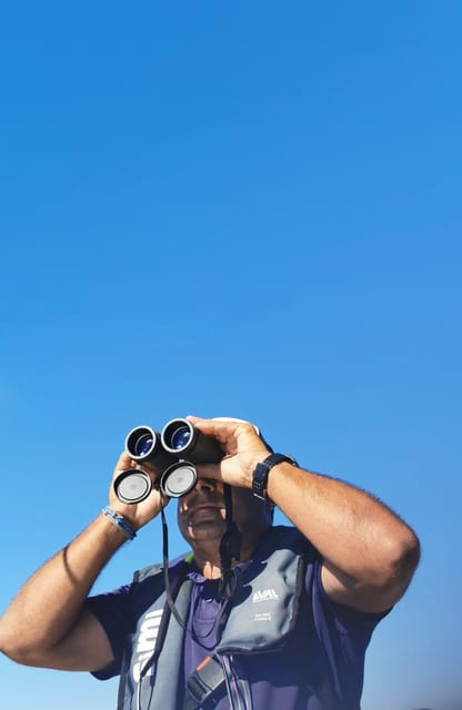 Faro: Pudim Real Boat Tours 6h guided boat tour Ria Formosa - Lunch on your terms: bring your own or reserve