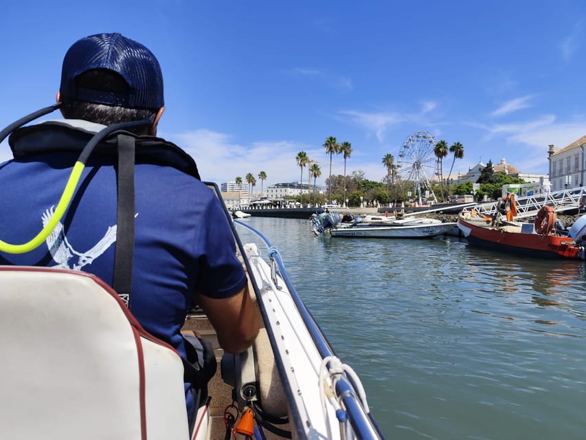Faro: Pudim Real Boat Tours 6h guided boat tour Ria Formosa - The ride itself: comfort, pacing, and what to expect getting off