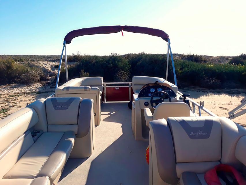 Faro: Ria Formosa Boat Tour - The catamaran experience: comfortable, not oversized