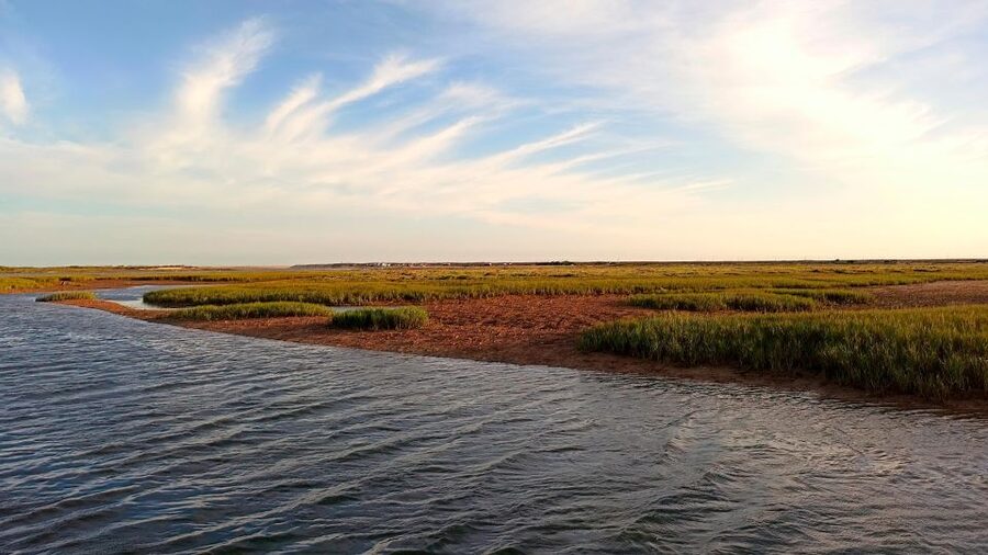 Faro: Ria Formosa Boat Tour - Sailing through the Ria Formosa Natural Park: marshes and channels