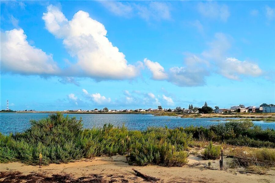 Faro: Ria Formosa Boat Tour - What the guide actually helps you notice (and why that matters)