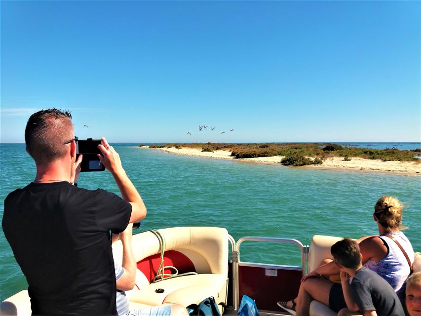 Faro: Ria Formosa Boat Tour - Birdwatching reality check: you’ll learn, even if birds don’t show