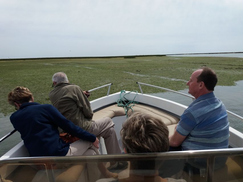 Faro: Ria Formosa Boat Tour - Where the tour takes you on the water (and what it feels like)