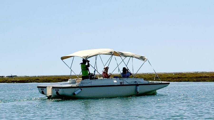 Faro: Ria Formosa Boat Tour by Eco-Friendly Solar Boat - Solar-Powered Quiet in Faro’s Ria Formosa