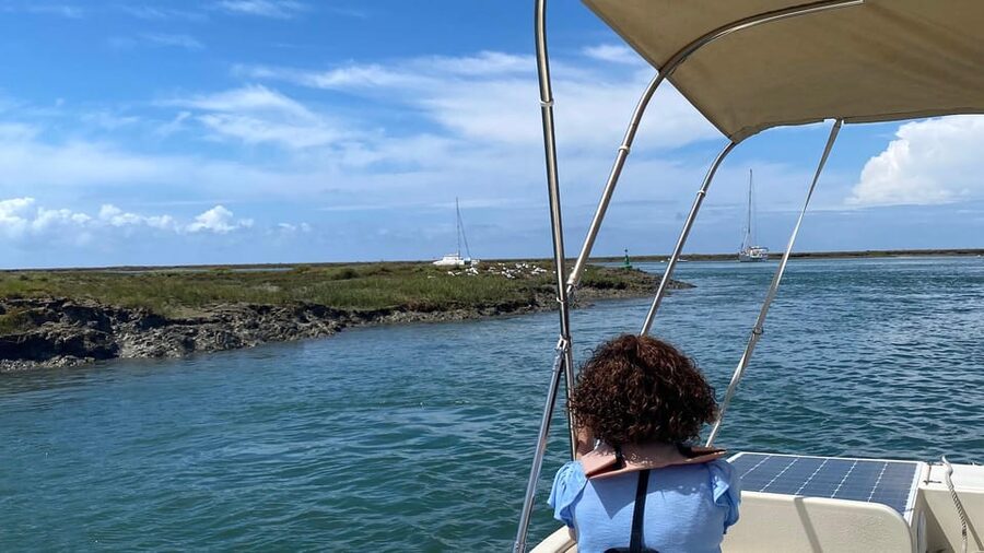 Faro: Ria Formosa Boat Tour by Eco-Friendly Solar Boat - Cruising Ria Formosa: Protected Marshlands and Wildlife Chances