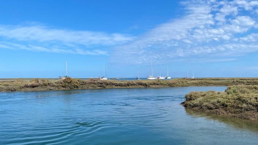 Faro: Ria Formosa Boat Tour by Eco-Friendly Solar Boat - Comfort Notes: Life Vests, Small Groups, and Motion You Can Feel