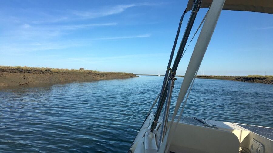 Faro: Ria Formosa Boat Tour by Eco-Friendly Solar Boat - Price and Value: Does a $29 One-Hour Solar Tour Make Sense?