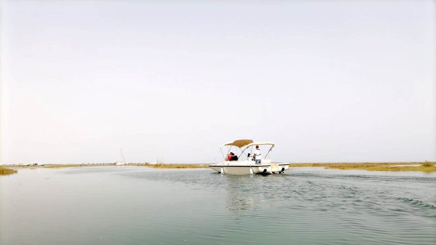 Faro: Ria Formosa Boat Tour by Eco-Friendly Solar Boat - Who Should Book This Faro Solar Boat Tour