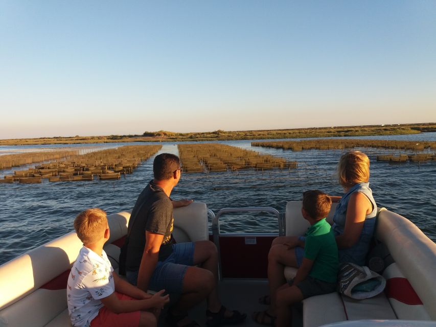 Faro: Ria Formosa Boat Tour - Price and time: is $31 for 90 minutes good value?