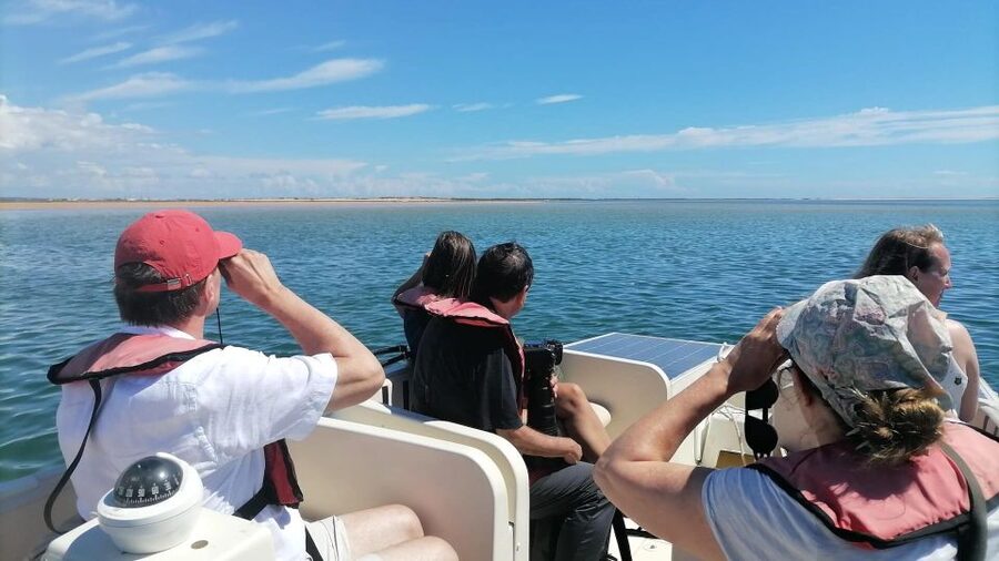 Faro: Ria Formosa Eco Birdwatching Boat Tour - Ria Formosa in Faro: why this lagoon is prime bird territory