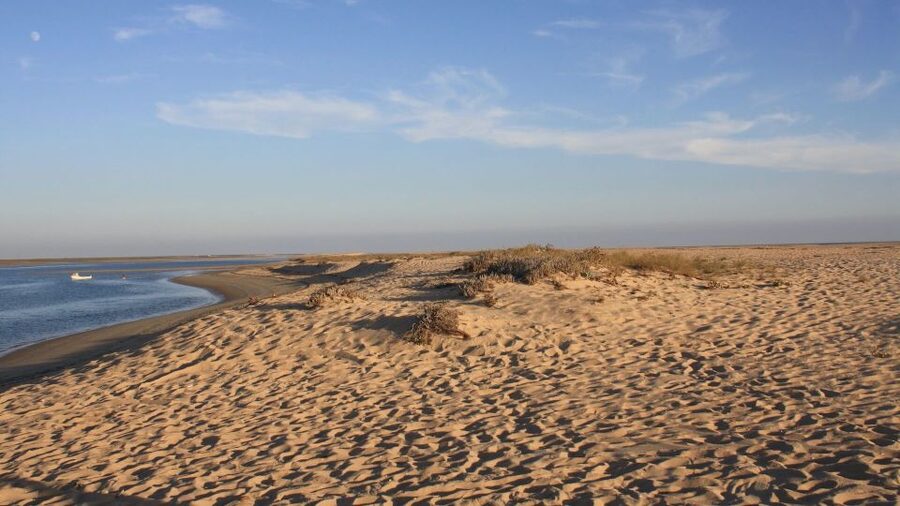 Faro: Ria Formosa Eco Birdwatching Boat Tour - The solar-powered eco boat: quiet cruising that actually helps spotting