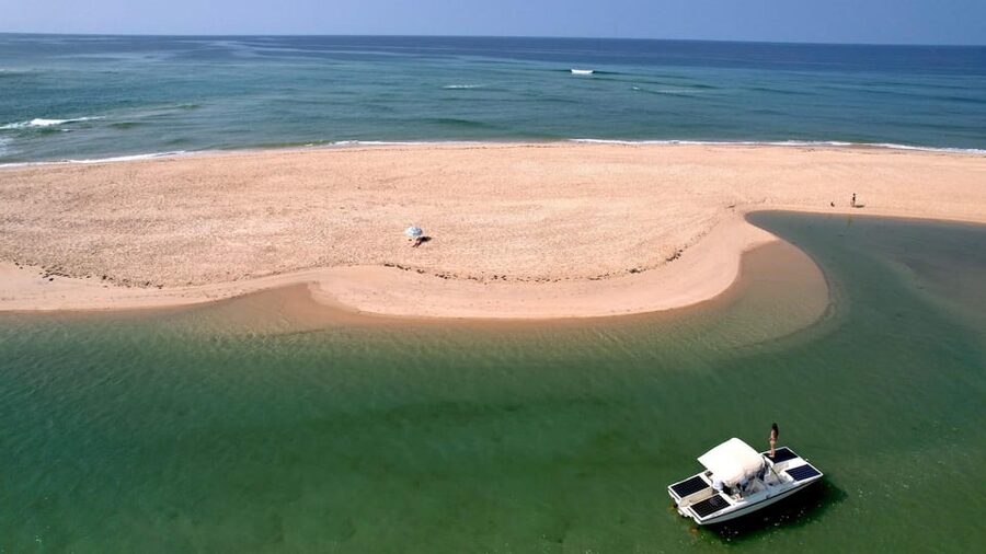 Faro: Ria Formosa Eco Birdwatching Boat Tour - What you’ll see in the Ria Formosa: herons, spoonbills, and more