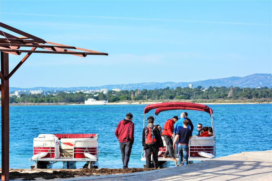 Faro: Ria Formosa Faro Islands Boat Tour - Ria Formosa: the Algarve’s watery maze (and why boat time matters)