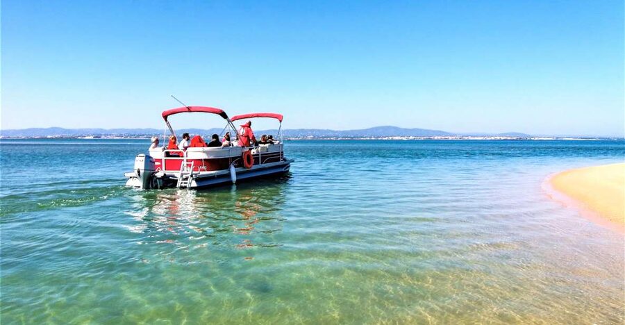 Faro: Ria Formosa Faro Islands Boat Tour - What changes your day: tides, season, and when birds show up