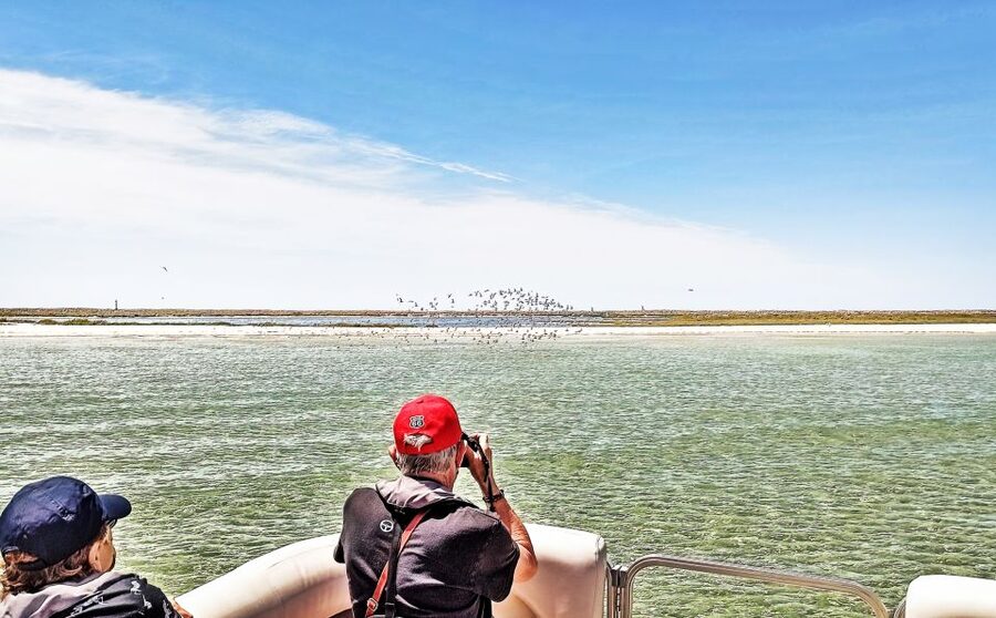 Faro: Ria Formosa Faro Islands Boat Tour - Ilha do Farol: Santa Maria Lighthouse views and island strolling time