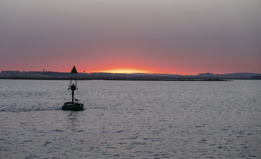 Faro: Ria Formosa Guided Sunset Tour by Catamaran - Key Highlights You’ll Feel On This Sunset Sail