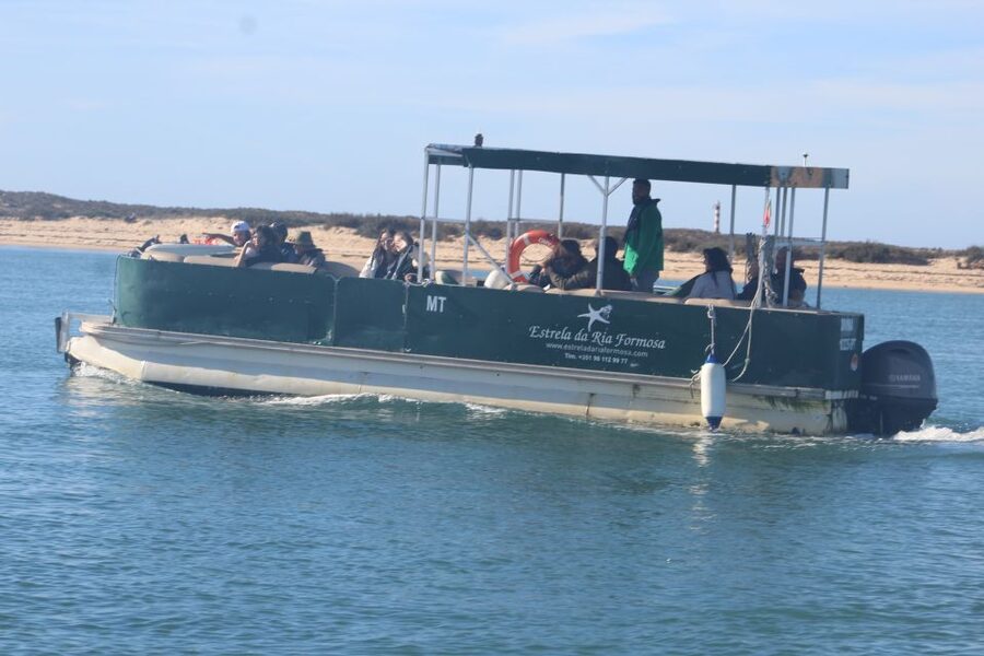 Faro: Ria Formosa Guided Sunset Tour by Catamaran - Guided Sightseeing in the Natural Park: Flora and Fauna Spotting