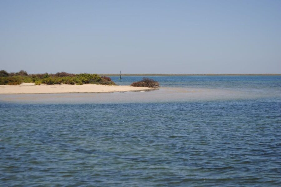 Faro: Ria Formosa Lagoon Small Boat Tour with Local Guide - Faro Old Town Walls From the Water: The View That Clicks