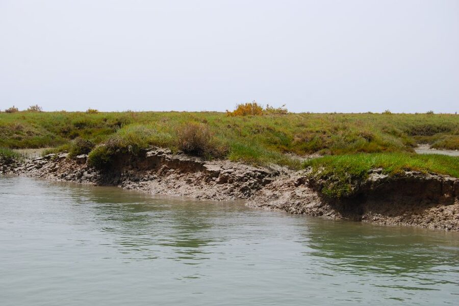 Faro: Ria Formosa Lagoon Small Boat Tour with Local Guide - Boat Comfort and Small-Group Feel (When It Works Best)
