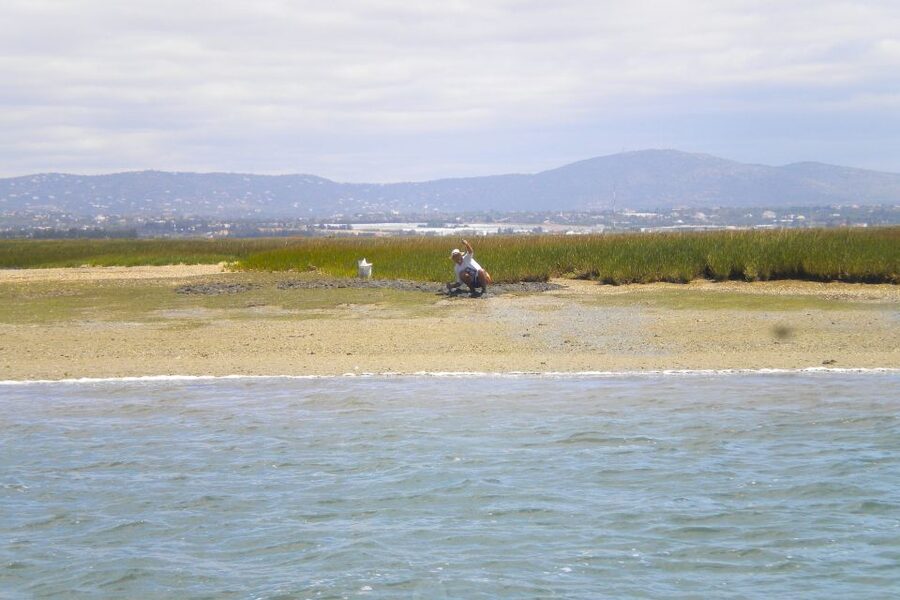 Faro: Ria Formosa Lagoon Small Boat Tour with Local Guide - Value for $29: When a Short Tour Is the Smart Buy