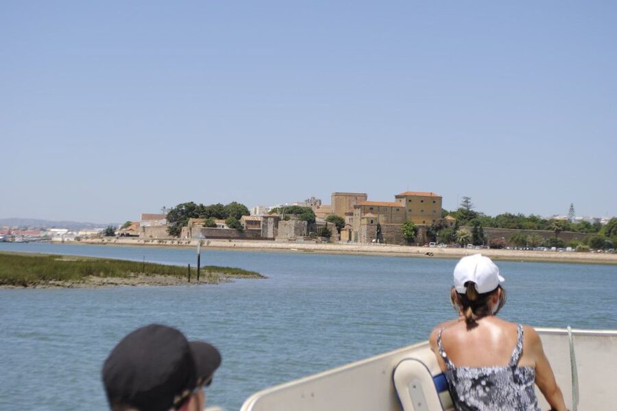 Faro: Ria Formosa Lagoon Small Boat Tour with Local Guide - The 1-Hour Pontoon Cruise: What You’re Really Booking