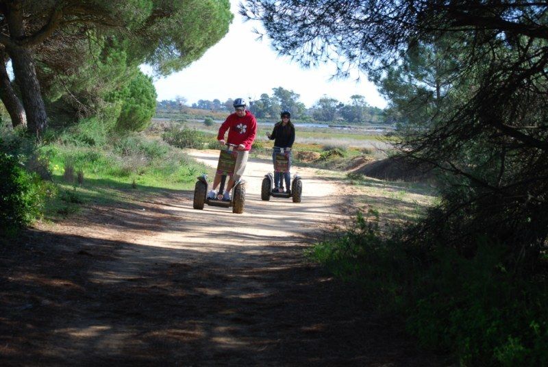 Faro: Ria Formosa Natural Park Segway Tour & Birdwatching - Segway training that actually works for first-timers