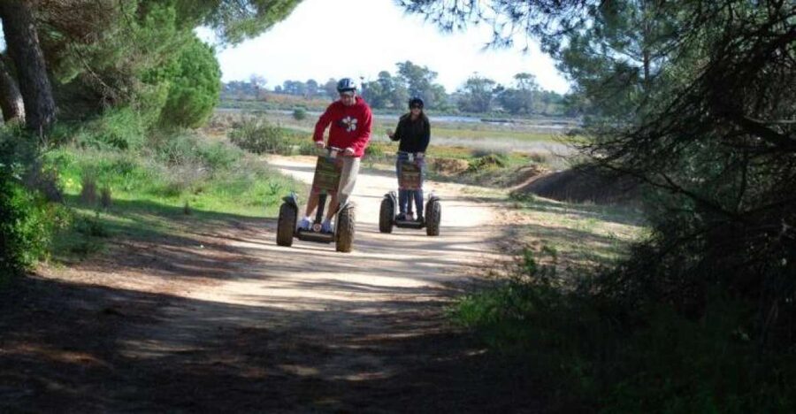 Faro: Ria Formosa Natural Park Segway Tour & Birdwatching - Birdwatching at Ludo: seasons, species, and how to get better results