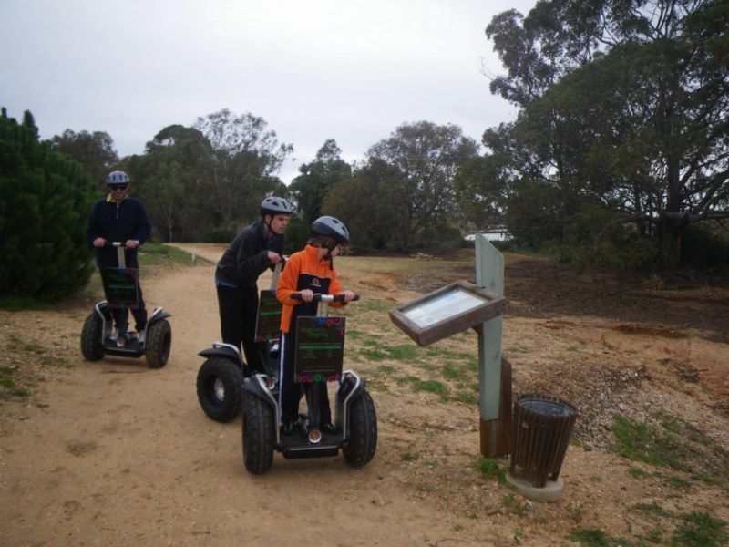 Faro: Ria Formosa Natural Park Segway Tour & Birdwatching - What you’ll learn in the Ria Formosa: more than birds on a screen