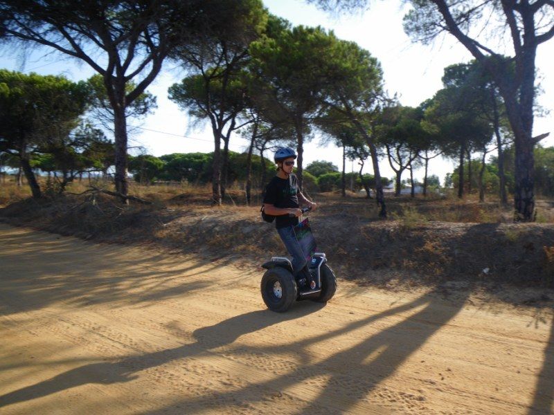 Faro: Ria Formosa Natural Park Segway Tour & Birdwatching - Who should book this Segway nature tour