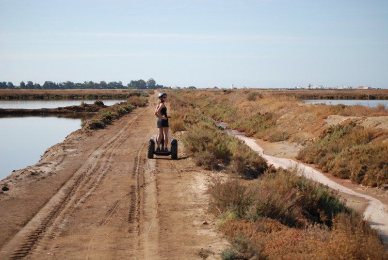 Faro: Ria Formosa Natural Park Segway Tour & Birdwatching - Practical tips: shoes, timing, and staying calm if conditions change