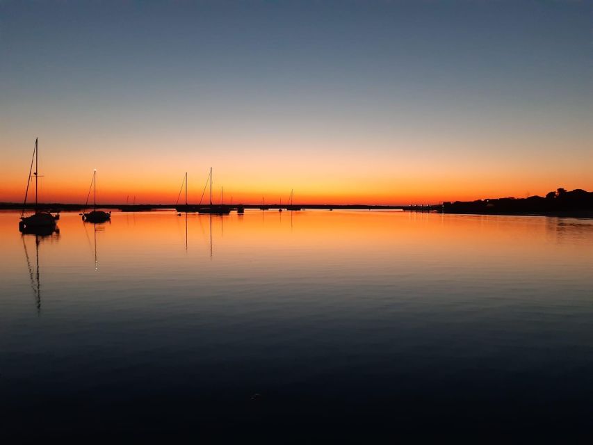 Faro: Ria Formosa Sunset Nature Boat Tour - The 1-hour route: Faro views, Parque Natural moments, and sunset on the water