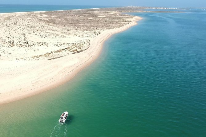 Faro - Ria Formosa tour with visit to 2 islands (Deserta, Farol) 3.5 hours - Key highlights that make this Faro tour worth your time