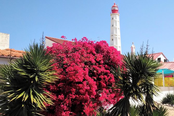 Faro - Ria Formosa tour with visit to 2 islands (Deserta, Farol) 3.5 hours - Carlos and the “learn while you float” approach