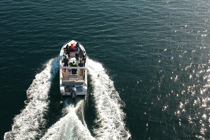 Faro - Ria Formosa tour with visit to 2 islands (Deserta, Farol) 3.5 hours - The 3.5-hour schedule: A practical plan for your Faro day