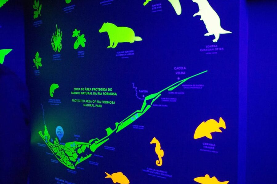 Faro Story Spot - Multimedia Museum&Restaurant: Tour&Tasting - A 30-minute plan that actually fits your day